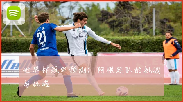世界杯冠军预测:阿根廷队的挑战与机遇