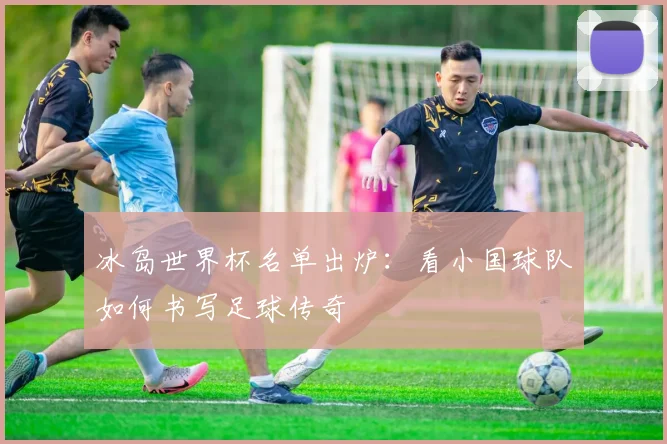冰岛世界杯名单出炉:看小国球队如何书写足球传奇