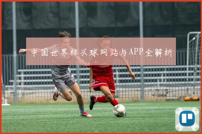 中国世界杯买球网站与APP全解析