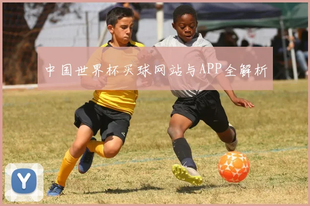 中国世界杯买球网站与APP全解析